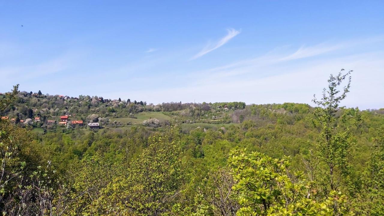 Villa Kuca Za Odmor Poljanica Okicka à Jastrebarsko Extérieur photo
