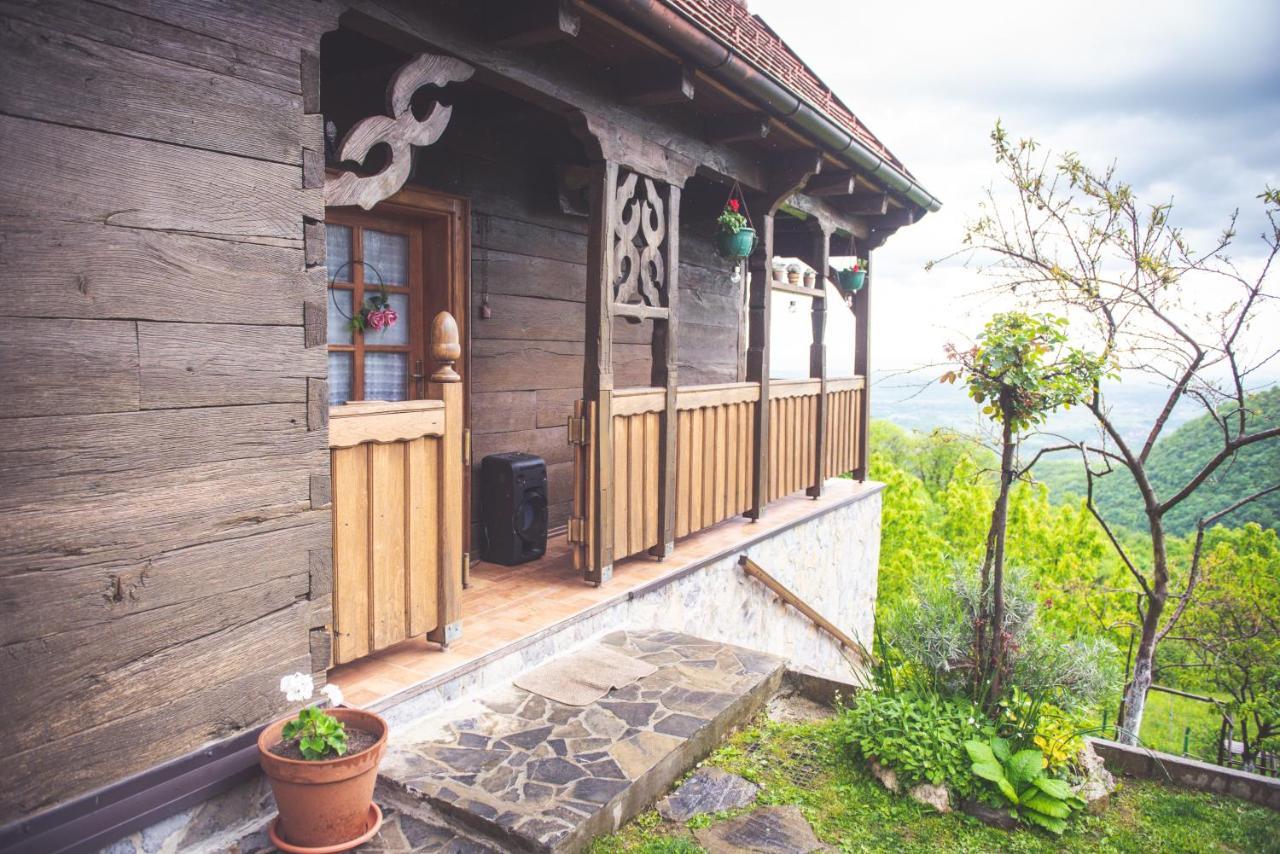 Villa Kuca Za Odmor Poljanica Okicka à Jastrebarsko Extérieur photo