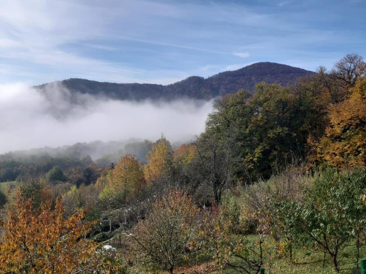 Villa Kuca Za Odmor Poljanica Okicka à Jastrebarsko Extérieur photo