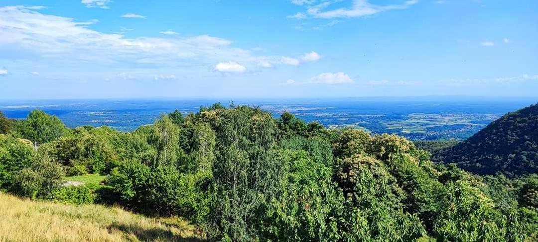 Villa Kuca Za Odmor Poljanica Okicka à Jastrebarsko Extérieur photo